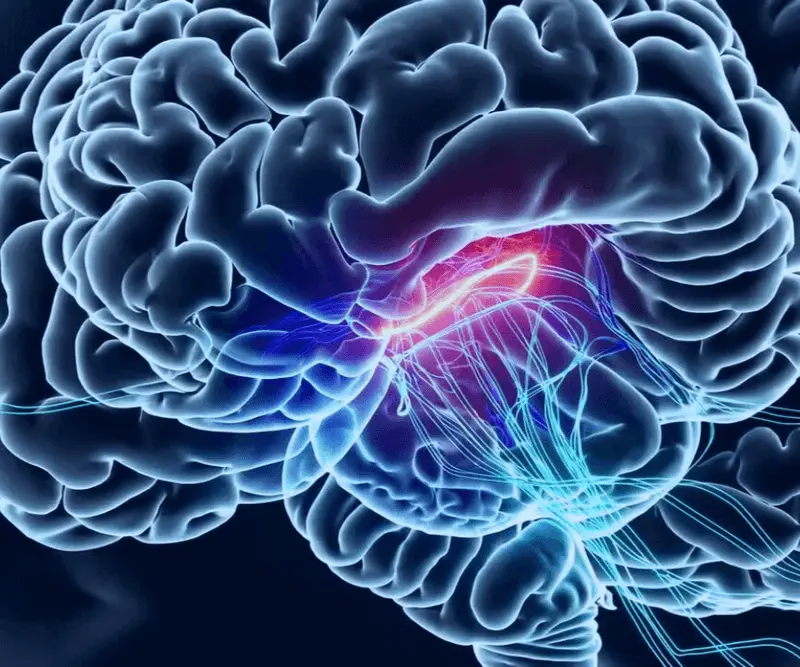 Neuro Energizer Effect on Brain Illustration